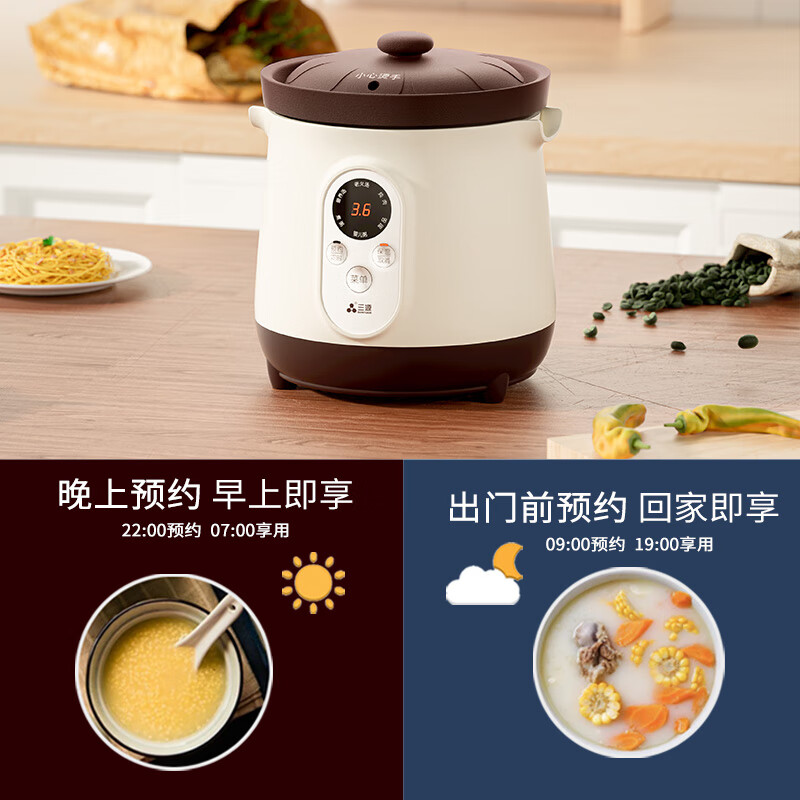三源XYDTG12-SA12电炖锅图片