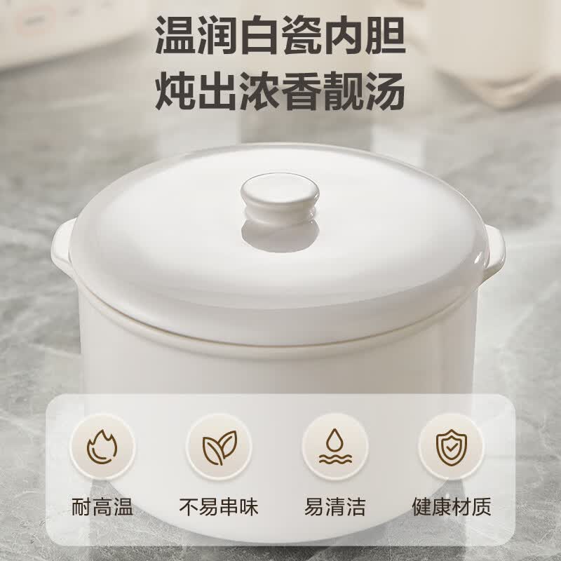 苏泊尔DZ25FC873电炖锅图片