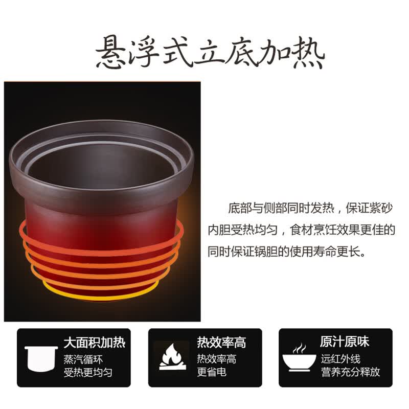 三源TGD100-SA1电炖锅图片