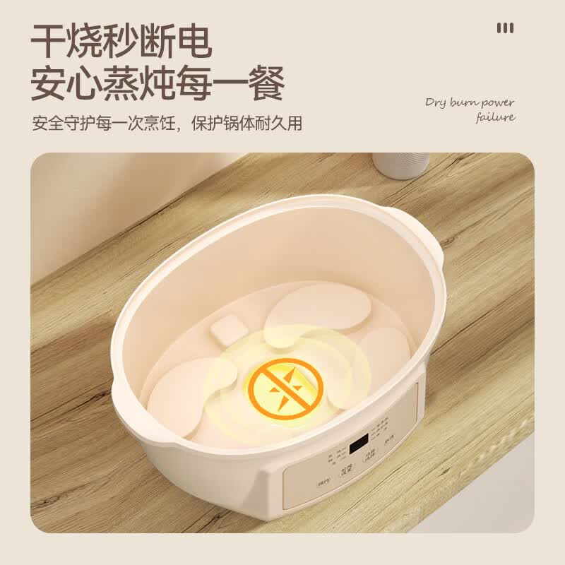 天际DGGD23A181BBW电炖锅图片