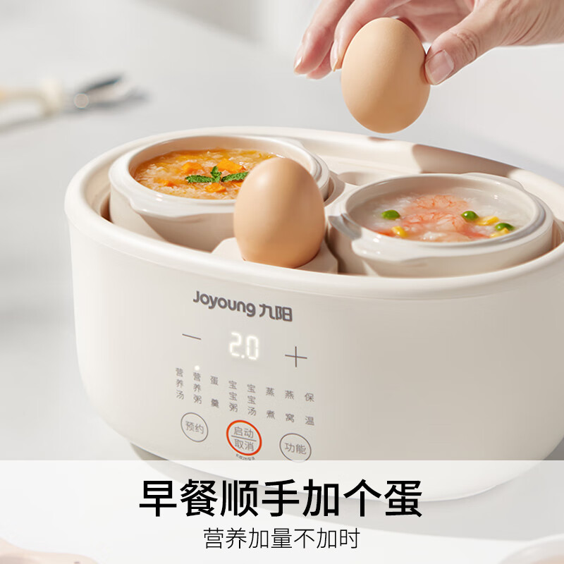 九阳DG10G-GD189电炖锅图片