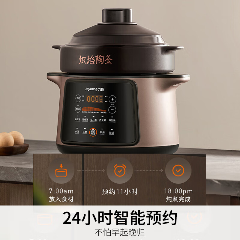 九阳GD509电炖锅图片