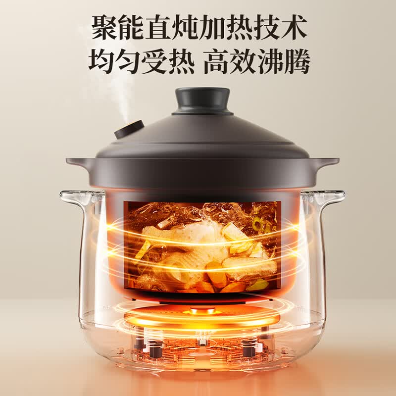 苏泊尔DG50YC875电炖锅图片
