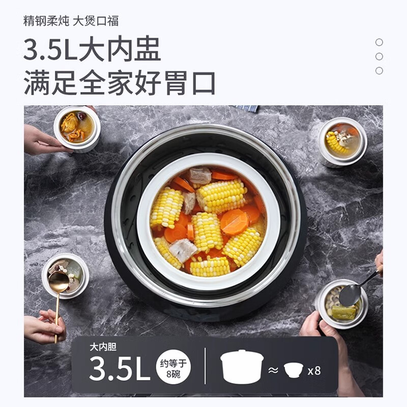 天际DGD35-35EG电炖锅图片