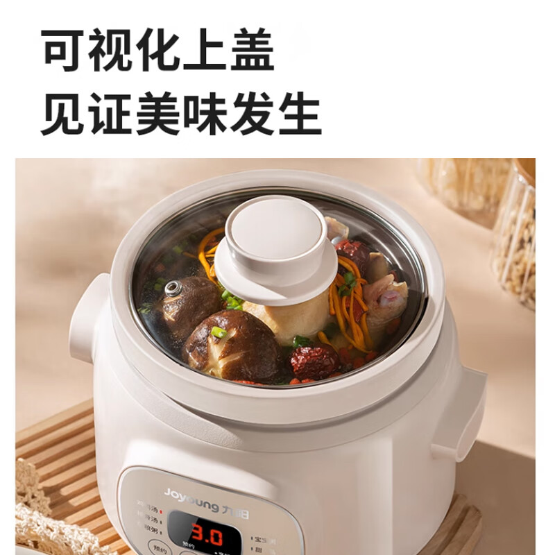 九阳GD152电炖锅图片