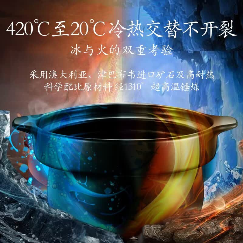 苏泊尔TG40YC1-60电炖锅图片