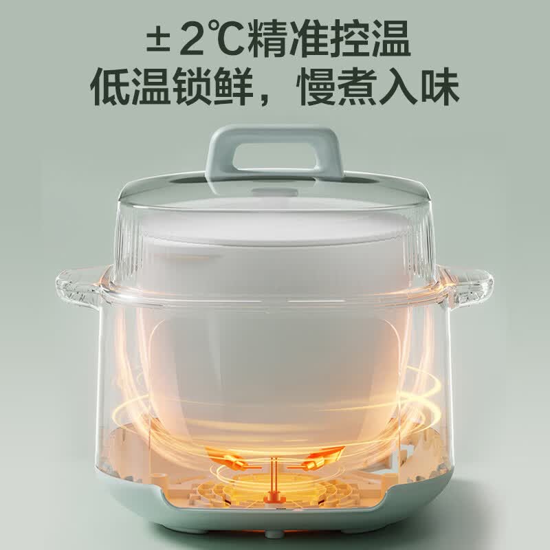 苏泊尔DZ45FC865电炖锅图片