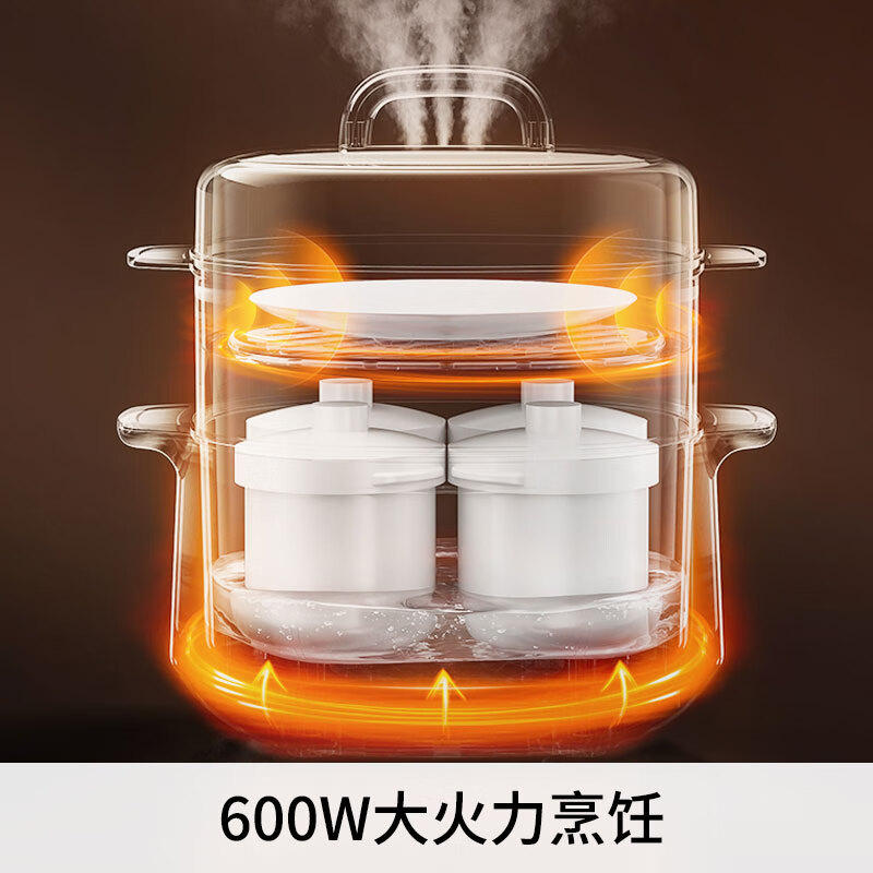 九阳DG25G-GD188电炖锅图片