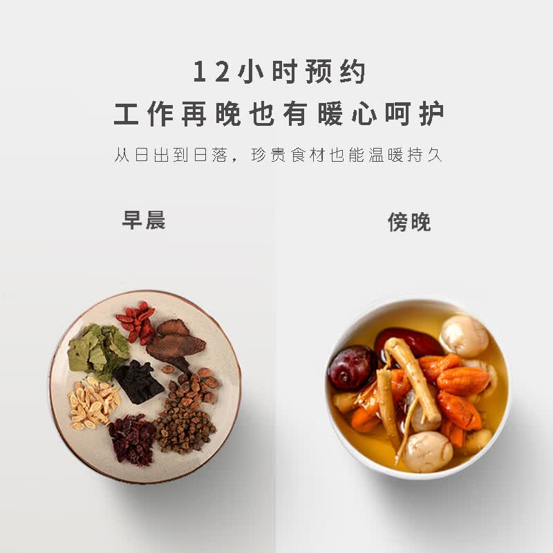 三源XYDTG60-SA12电炖锅图片
