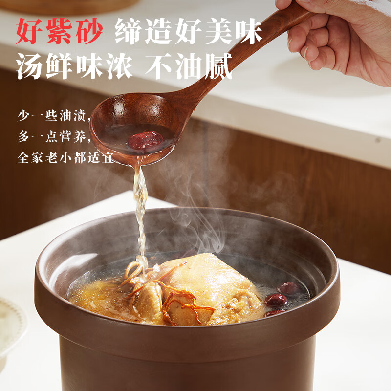 三源XYDTG60-SA32电炖锅图片