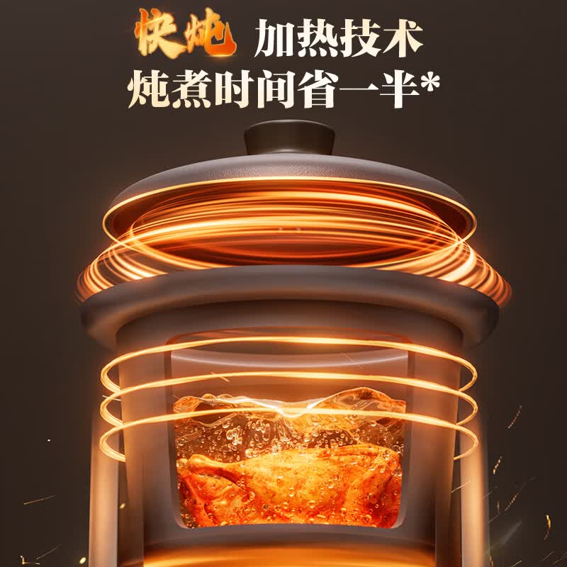 苏泊尔DG30YC872电炖锅图片