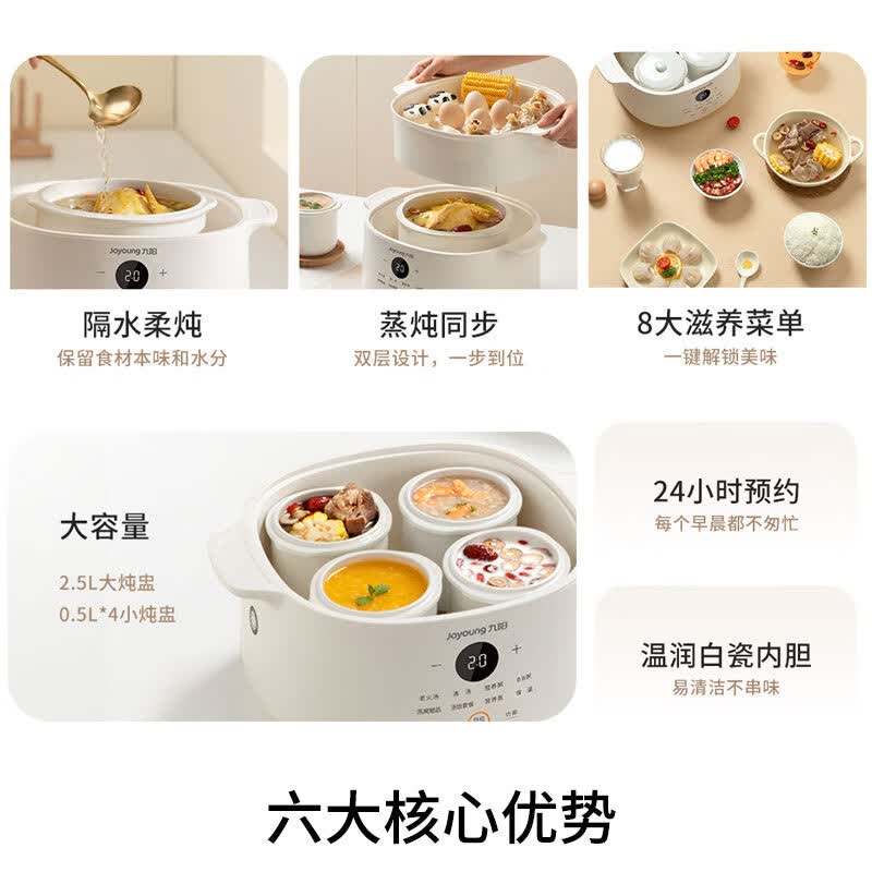 九阳DG25G-GD188电炖锅图片