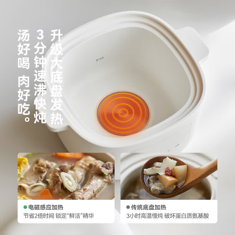 olayks-OLK-DDZ26电炖锅图片
