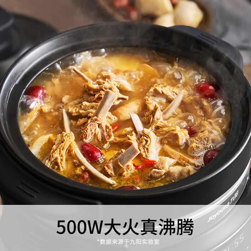 九阳DG40K-GD407电炖锅图片