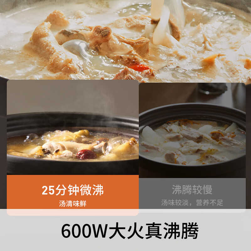 九阳GD506电炖锅图片