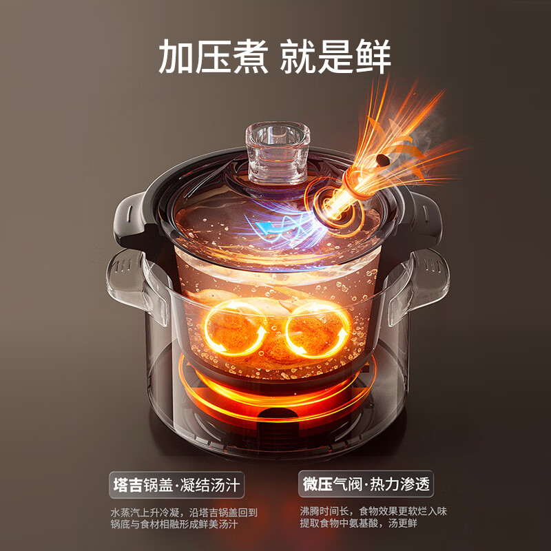 九阳DG40K-GD419电炖锅图片