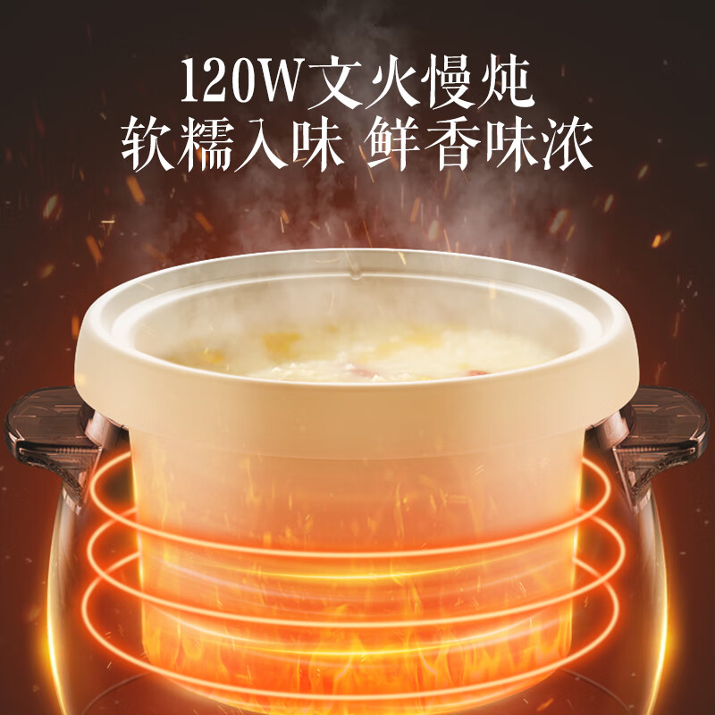 苏泊尔DG15YC818电炖锅图片