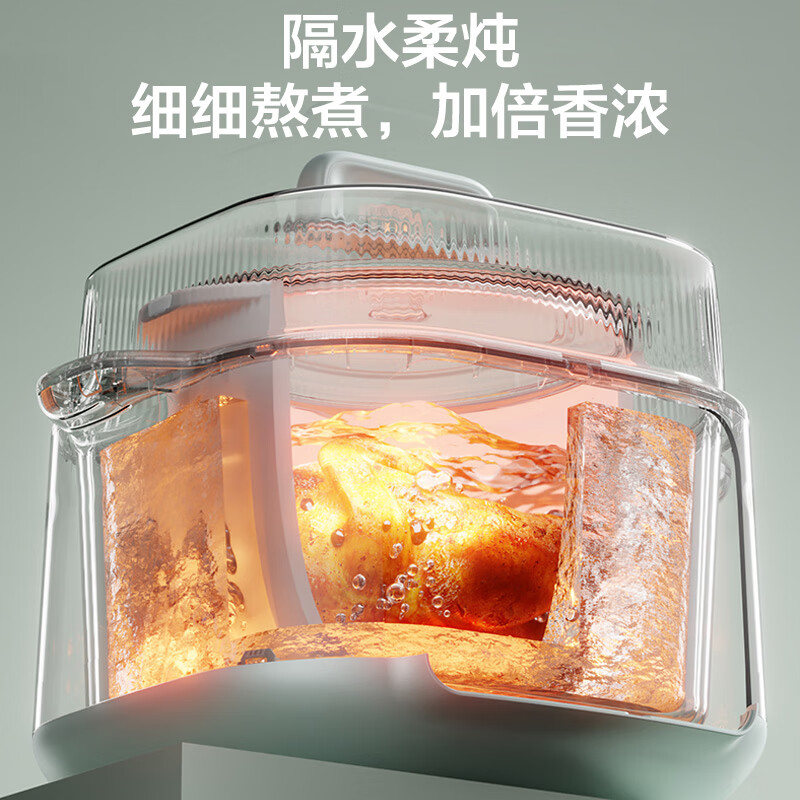 苏泊尔DZ45FC865电炖锅图片