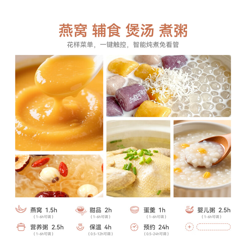 奥克斯DRW231电炖锅图片