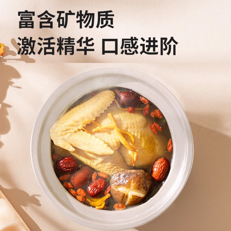 九阳GD152电炖锅图片