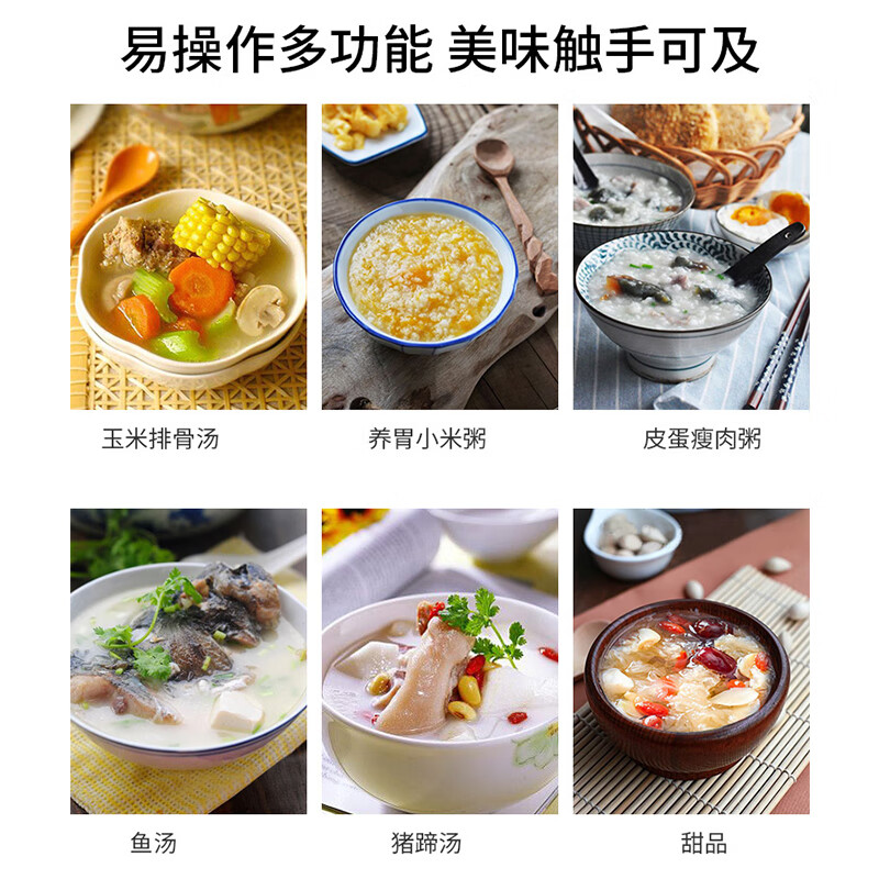 苏泊尔DG15YC818电炖锅图片