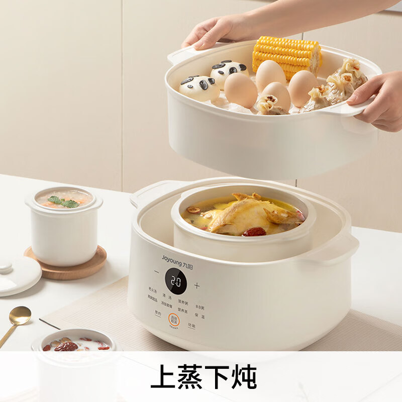 九阳DG25G-GD188电炖锅图片