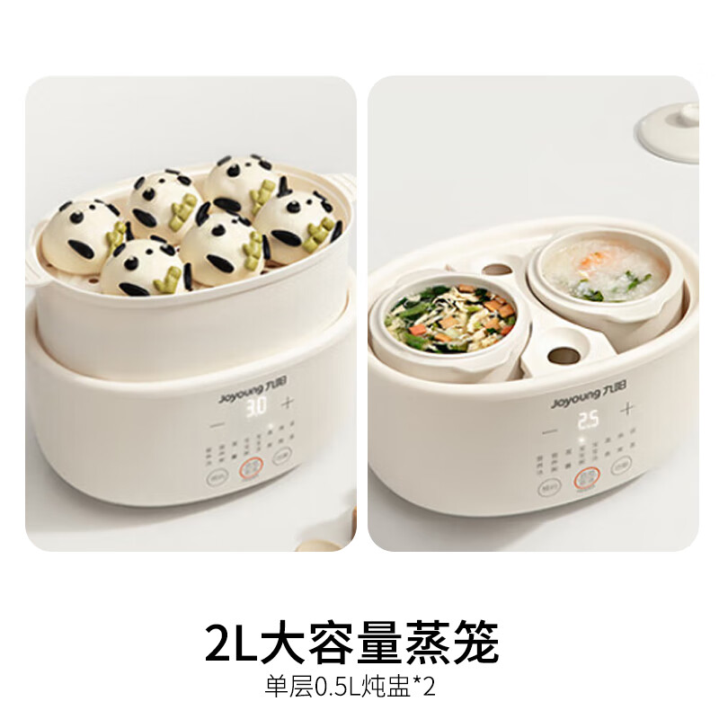 九阳DG10G-GD189电炖锅图片