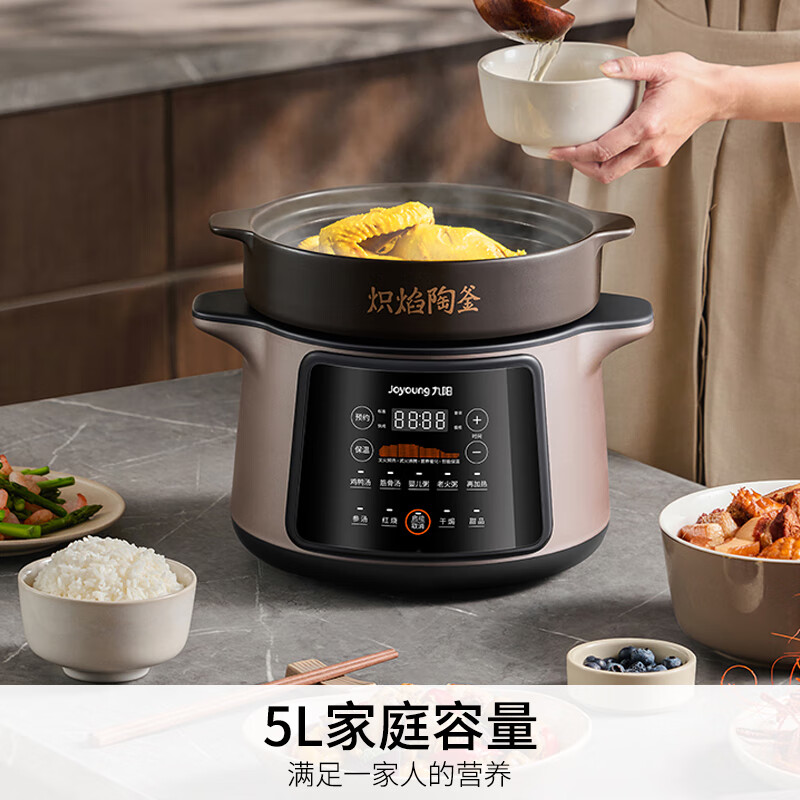 九阳GD509电炖锅图片
