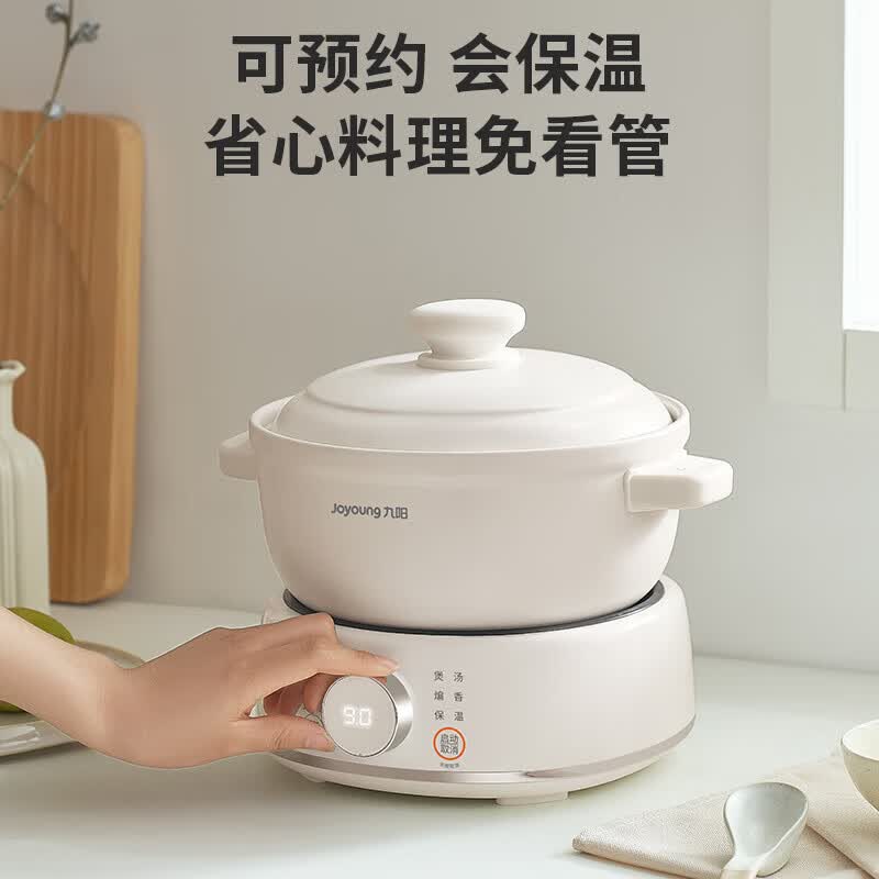 九阳DG30Z-GD310电炖锅图片