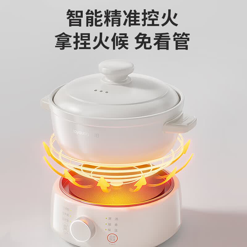 九阳DG30Z-GD310电炖锅图片