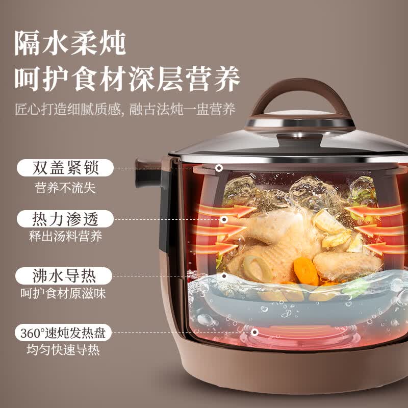 小熊DDZ-B45Z1电炖锅图片