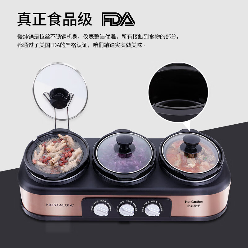 诺思得其TSC15电炖锅图片