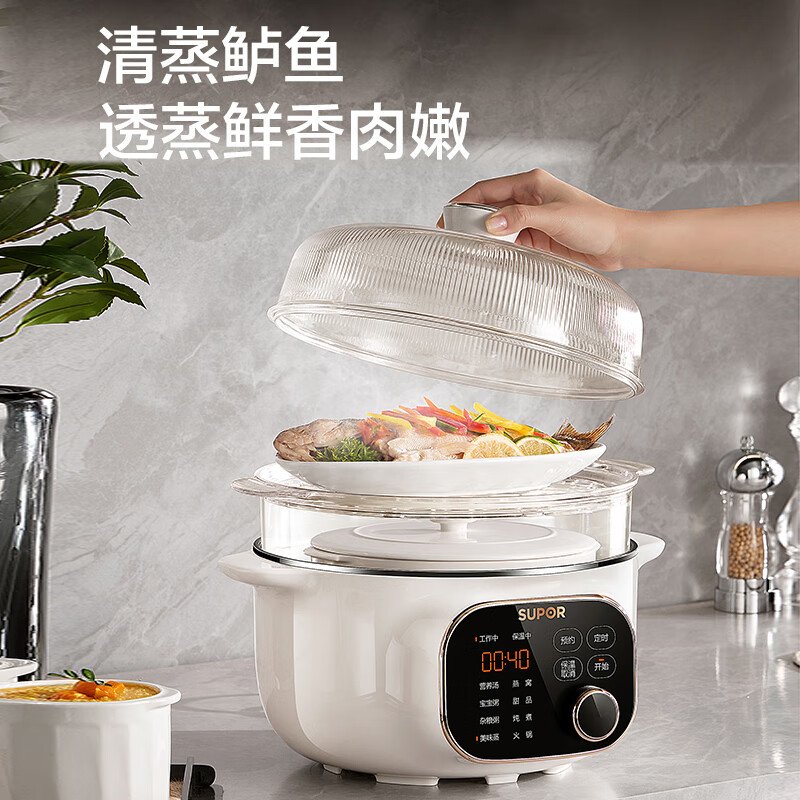 苏泊尔DZ25YC876电炖锅图片