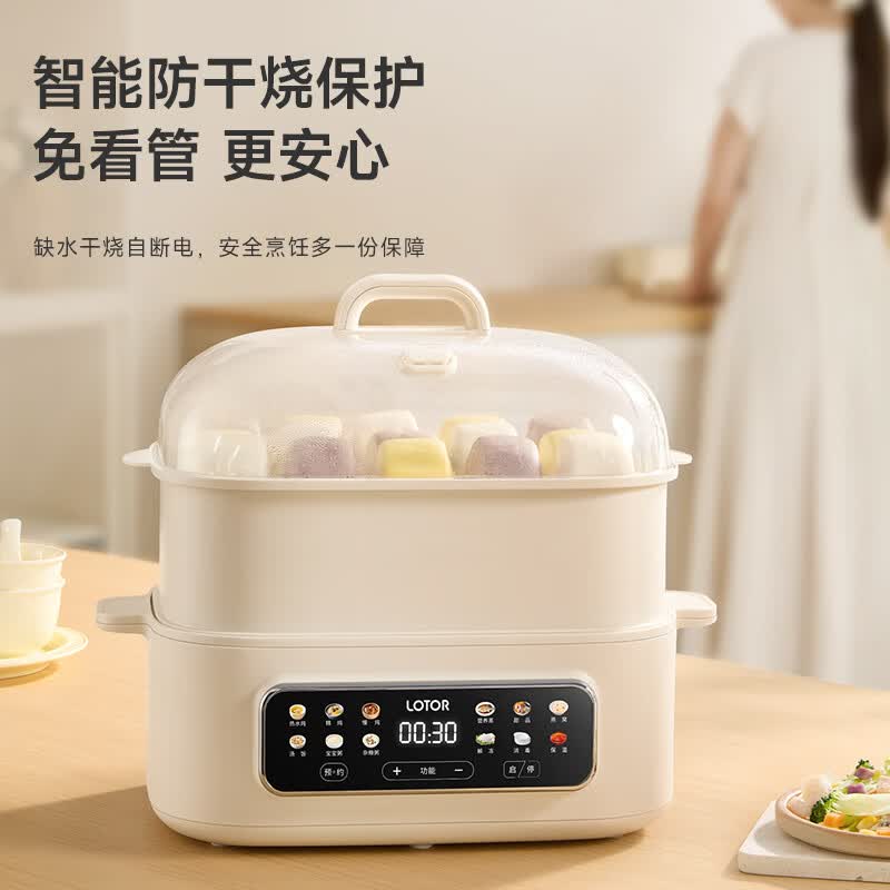 LOTOR徕多LD-DDZ50电炖锅图片