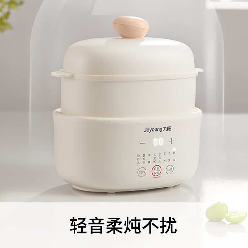 九阳DG10G-GD189电炖锅图片