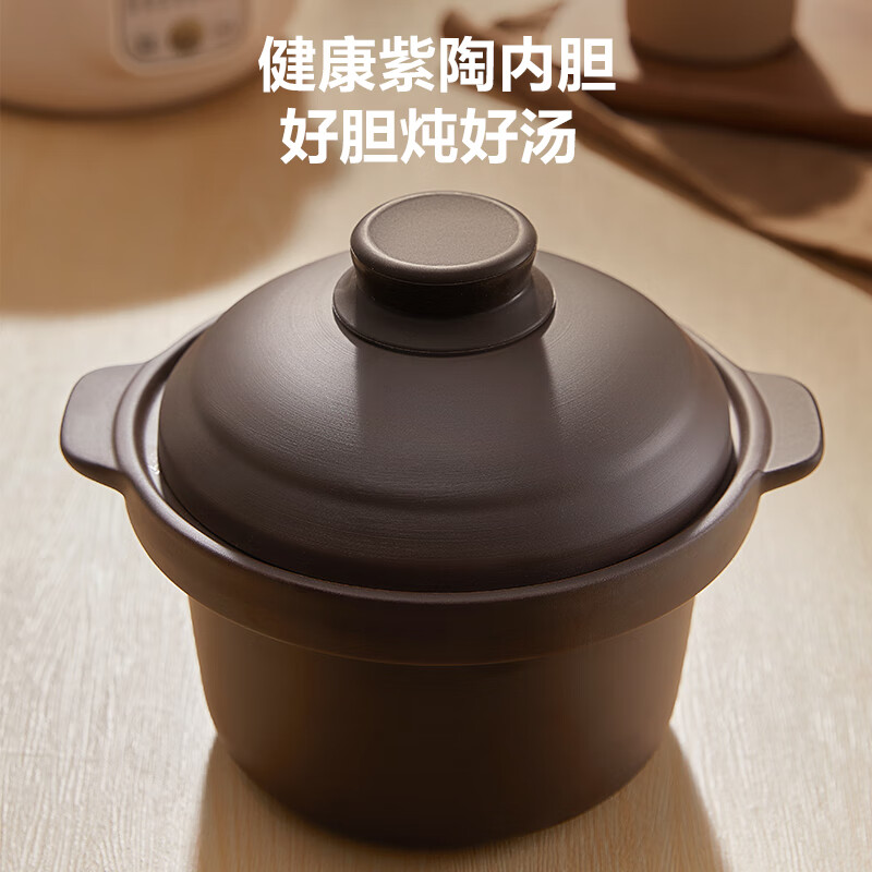 苏泊尔DG20YC815电炖锅图片