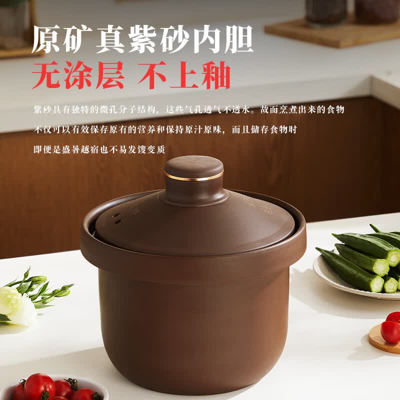 三源XYDTG60-SA32电炖锅图片