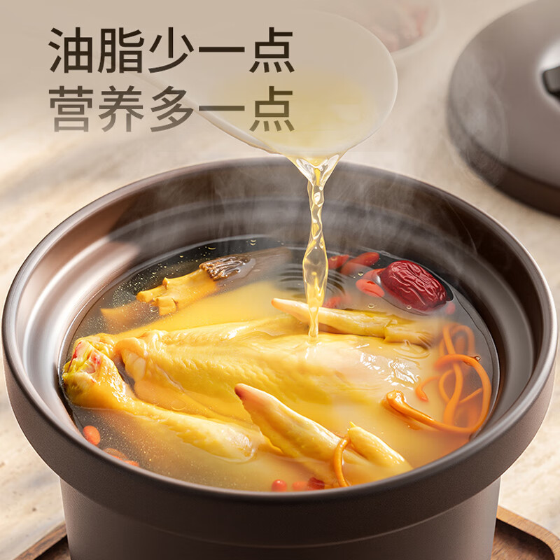 九阳DG30Z-GD317电炖锅图片
