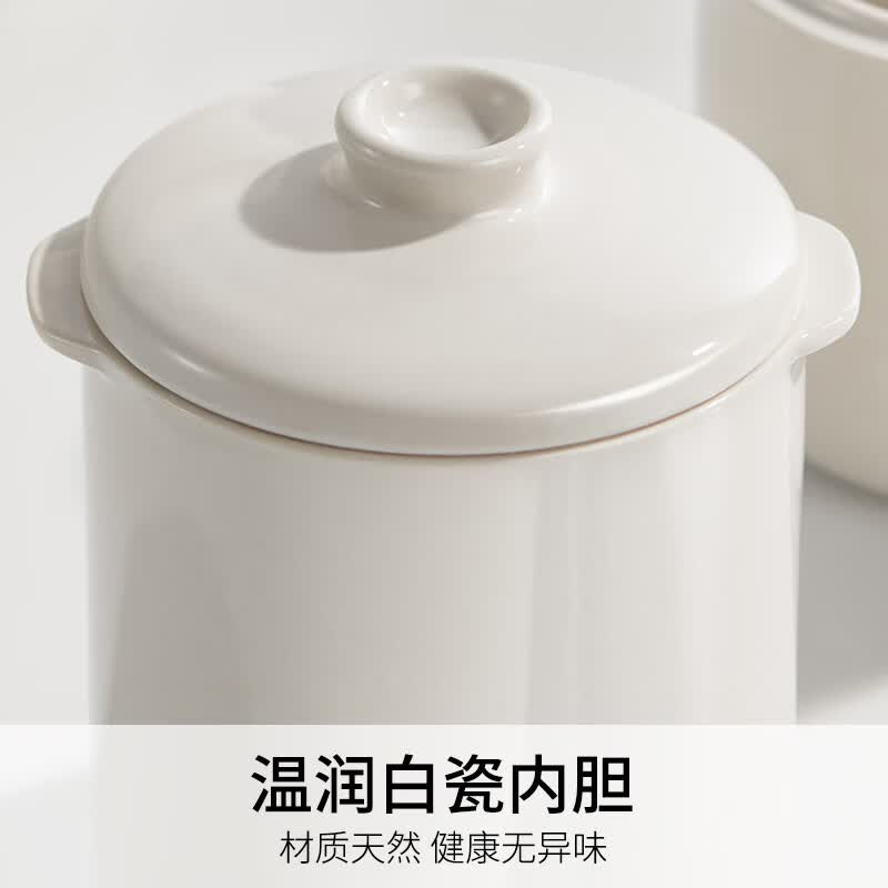九阳DG10G-GD189电炖锅图片