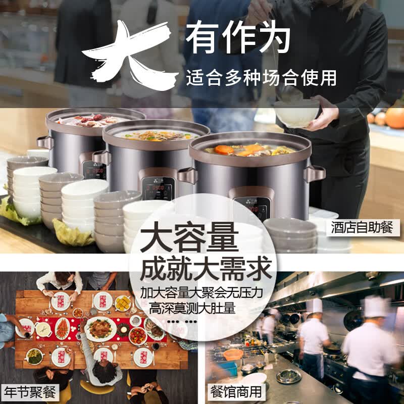 三源TGD100-SA1电炖锅图片
