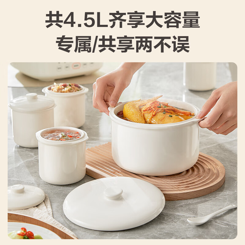 苏泊尔DZ25FC873电炖锅图片
