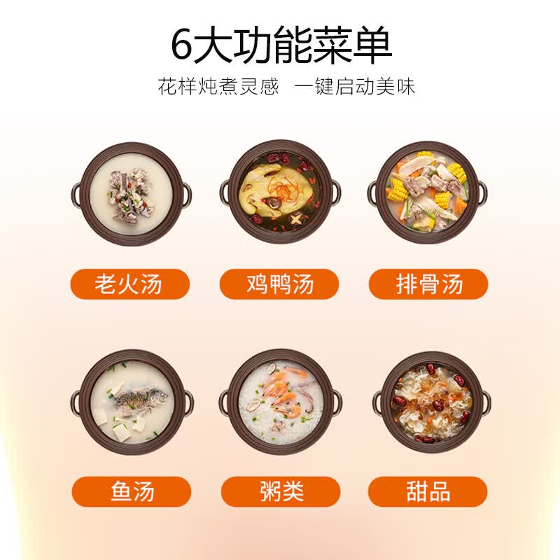 九阳DG50Z-GD510电炖锅图片