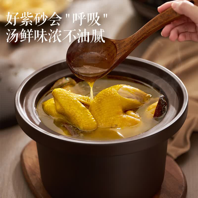 苏泊尔DG40YC872电炖锅图片