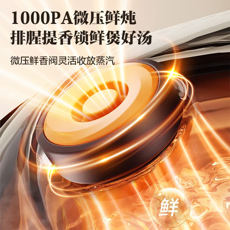 苏泊尔DG40YC875电炖锅图片