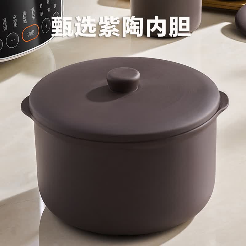 苏泊尔DZ25YC895电炖锅图片