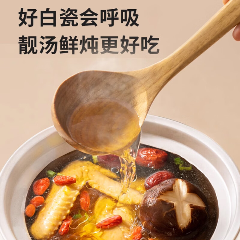 九阳GD152电炖锅图片