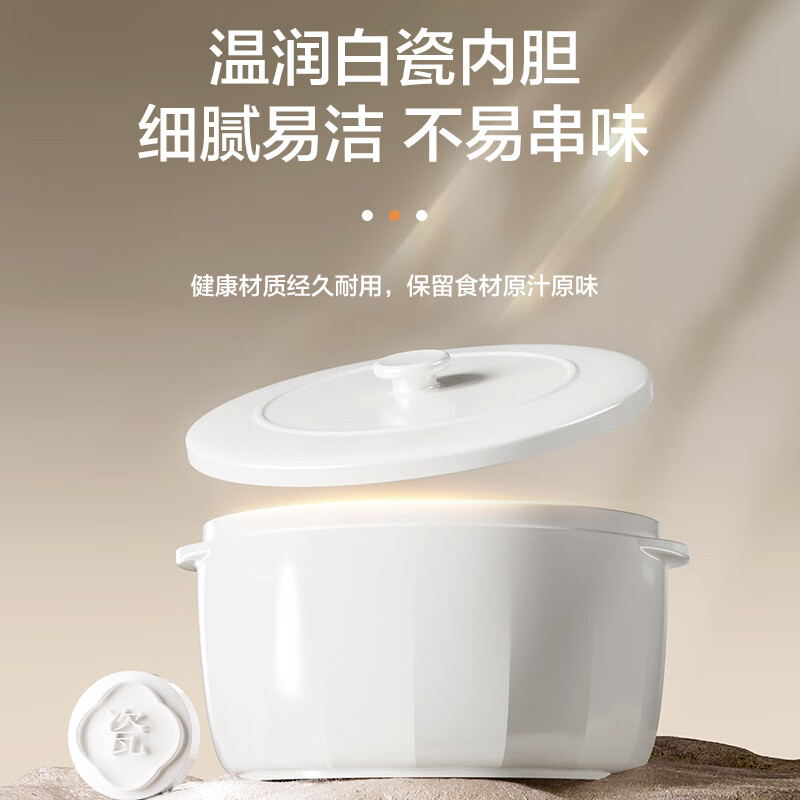 苏泊尔DZ25YC876电炖锅图片