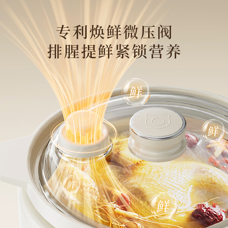 小熊DDG-H15Z6电炖锅图片
