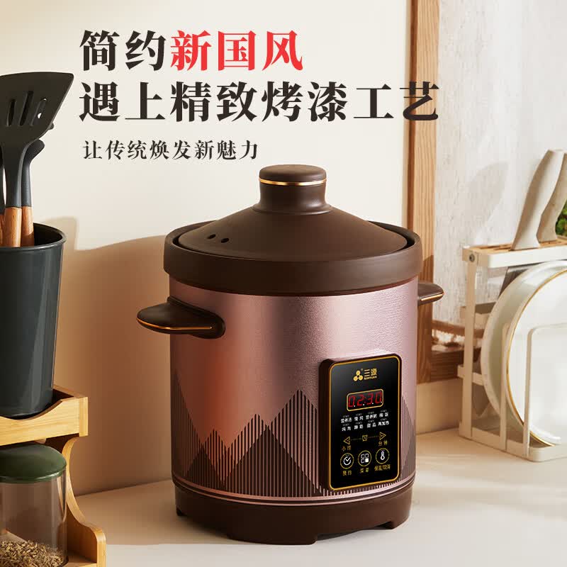 三源XYDTG60-SA32电炖锅图片