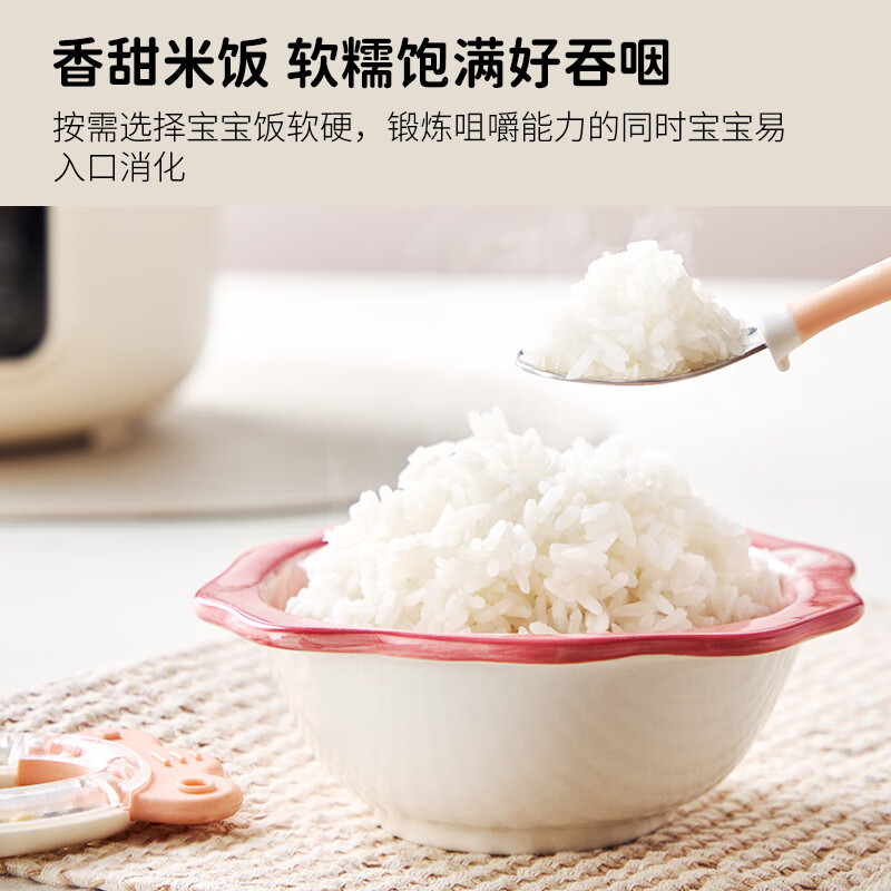 天际DDG-10DB电炖锅图片